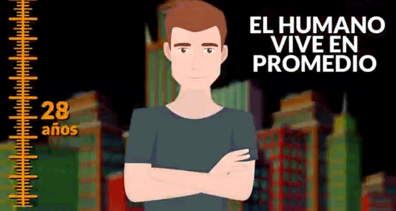 Cuáles son las formas de vida más longevas en la Tierra